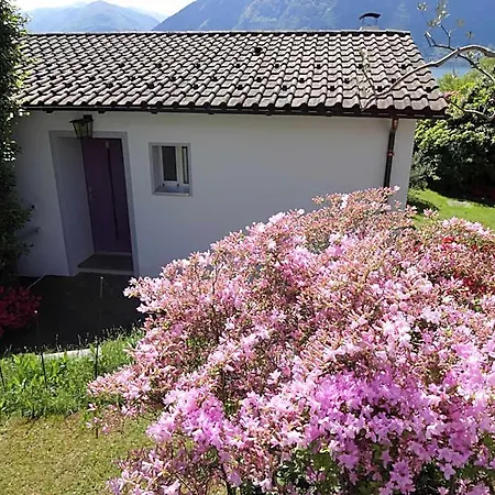 Residenza Paradiso Di Vacanze 2* Locarno