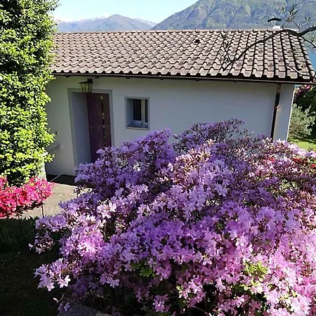 Residenza Paradiso Di Vacanze Locarno