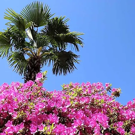 Hotel Residenza Paradiso Di Vacanze 2*